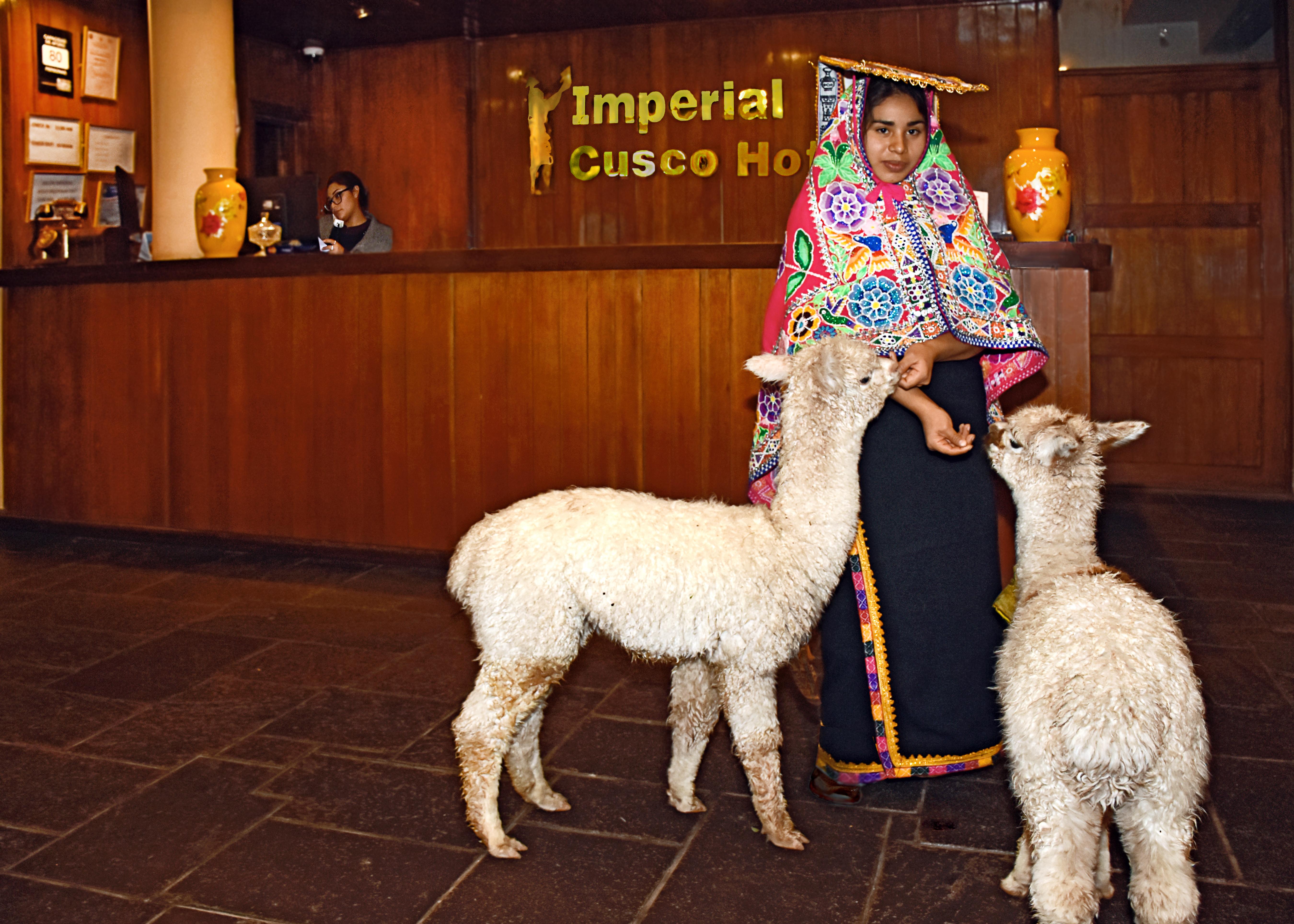 Imperial Cusco Hotel מראה חיצוני תמונה
