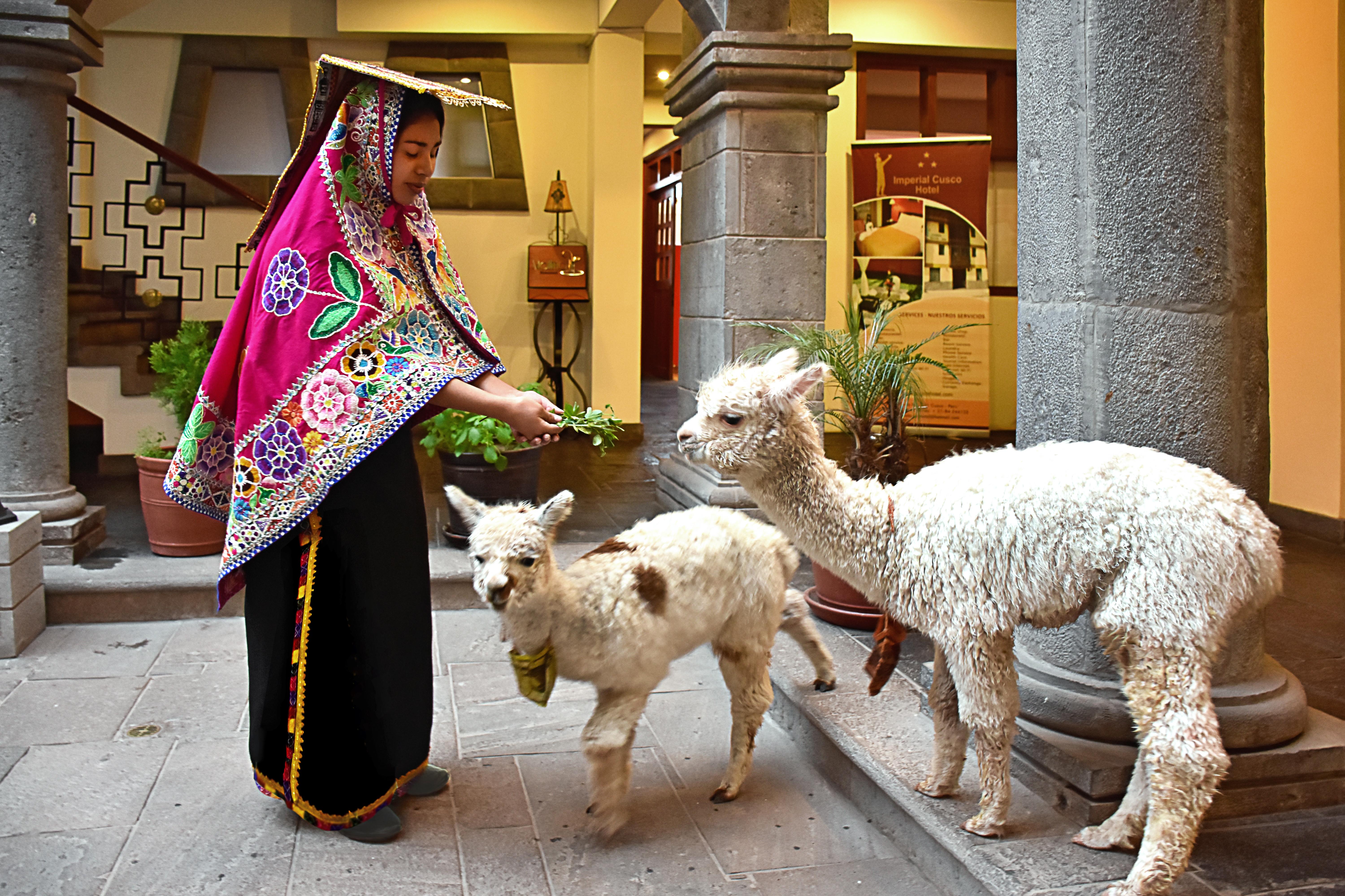 Imperial Cusco Hotel מראה חיצוני תמונה